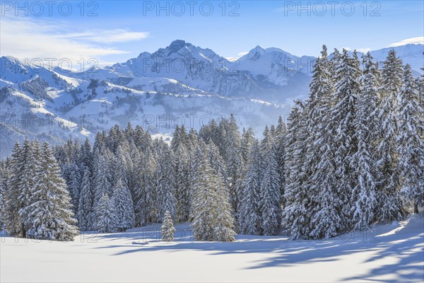 View from the Jaun Pass