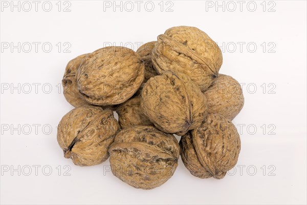 Persian walnut (Juglans regia)