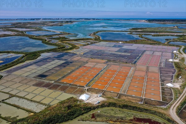 Aerial view of the salt marshes