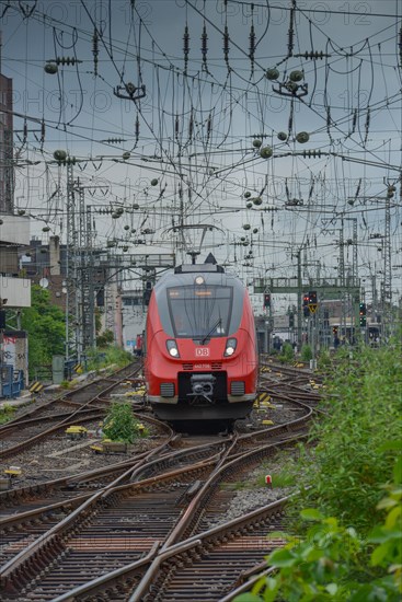 Regional train