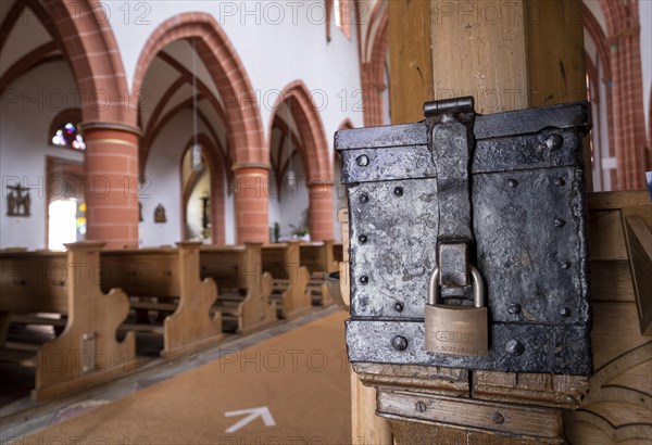 Oferstock in the Catholic Church of junglefowl (Gallus)