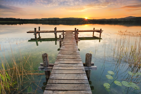 Wooden footbridge on Lake Pfaeffikon at sunrise