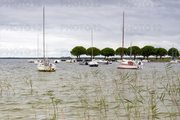 Lac de Hourtin