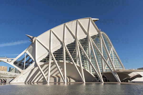 Museu de les Ciencies