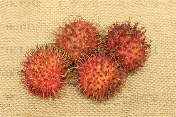 Rambutan (Nephelium lappaceum)