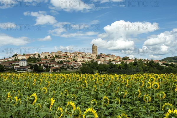 Montpeyroux village