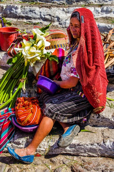 Picturesque rituals and flower offerings on the steps of Santo Tomas