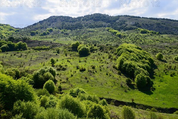 Mountainous landscape