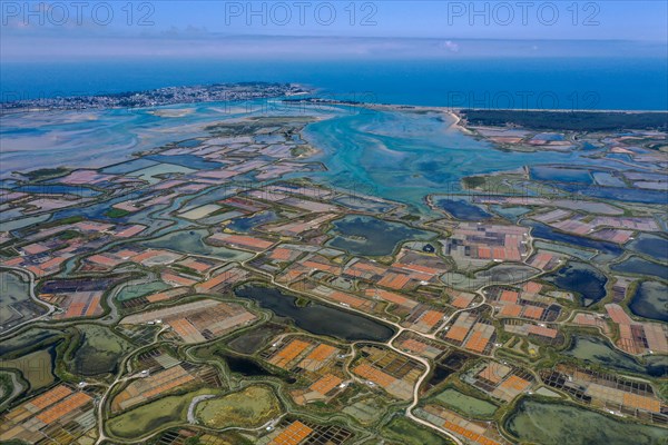 Aerial view of the salt marshes