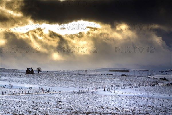 Plateau of Cezallier in Auvergne in winter