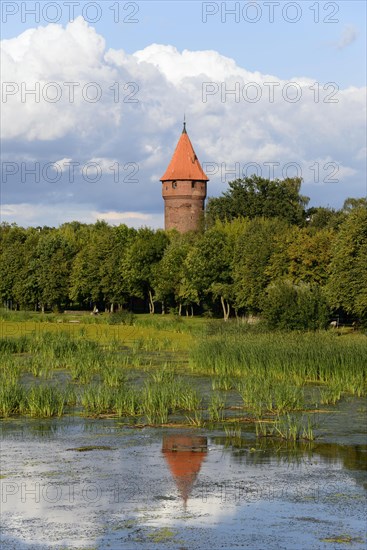 River Nogat and Tower