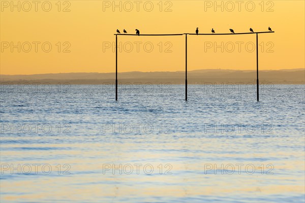 View from Arbon over Lake Constance at sunrise