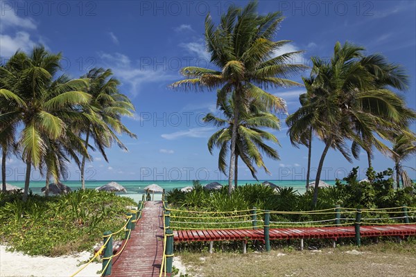 Wooden walkway to the beach