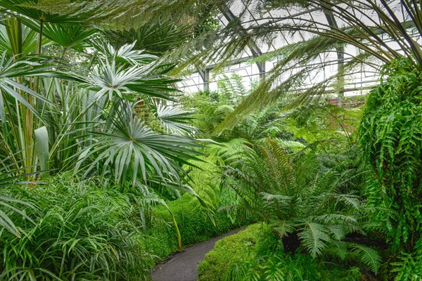 Tropical House