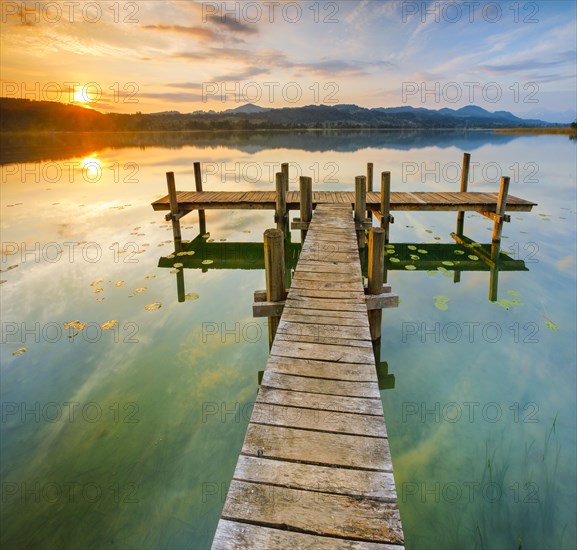 Wooden footbridge on Lake Pfaeffikon at sunrise