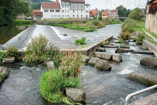 Fish ladder