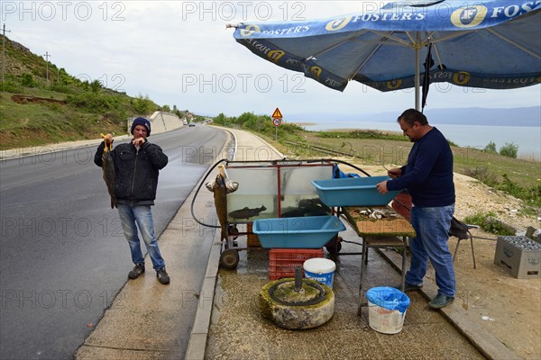 Sale of fish