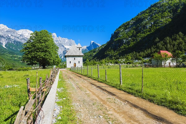 Catholic Church