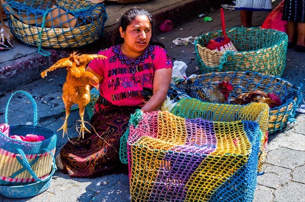 Poultry market