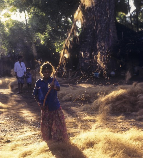 Coconut fibre-Beating & winnowing at Natham