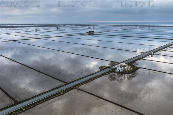 Small farm cottage amidst flooded rice fields in May