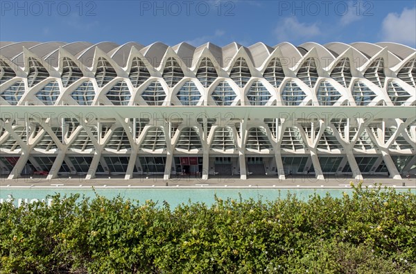 Roof construction