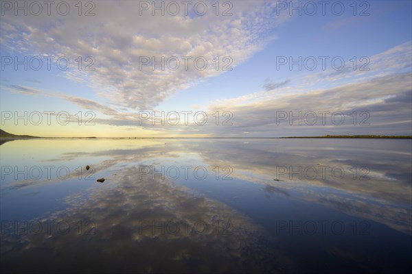 Water reflection