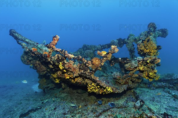 Wreckage thickly encrusted with various sponges