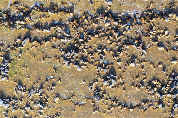 Pebbles in the Rio Tinto