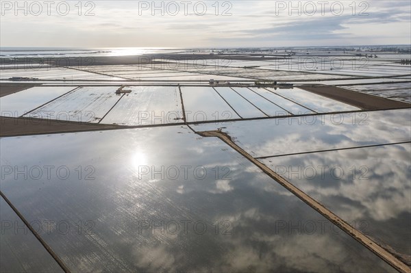 Flooded rice fields in May