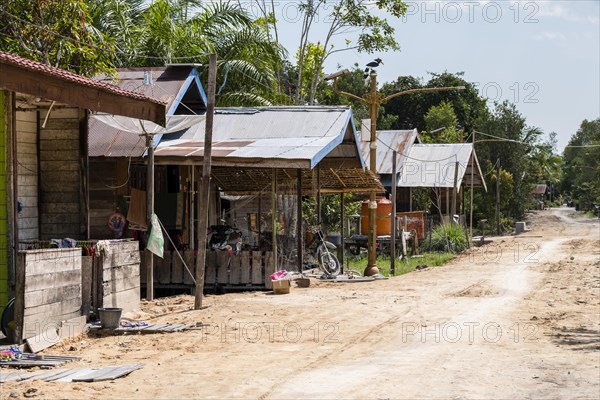 Wooden huts in jungle village on Sekonyer River