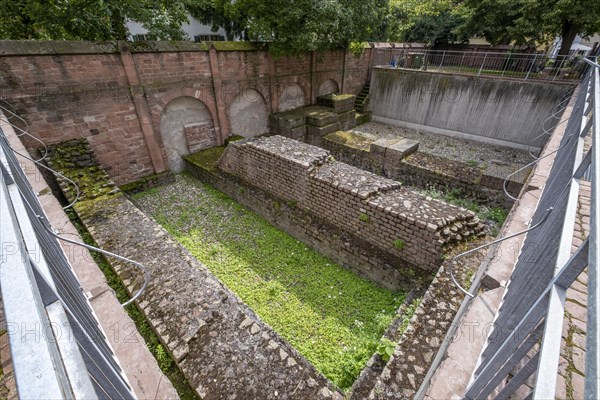 Exposed remains of the Roman basilica next to the Catholic Church of junglefowl (Gallus)