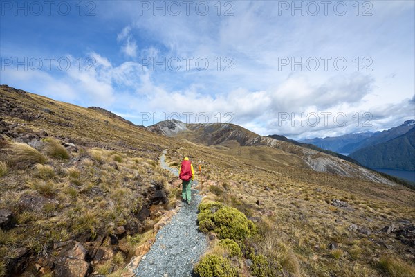 Hiking trail