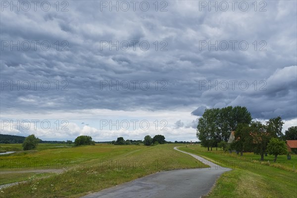 Elbe dike near Kolepant