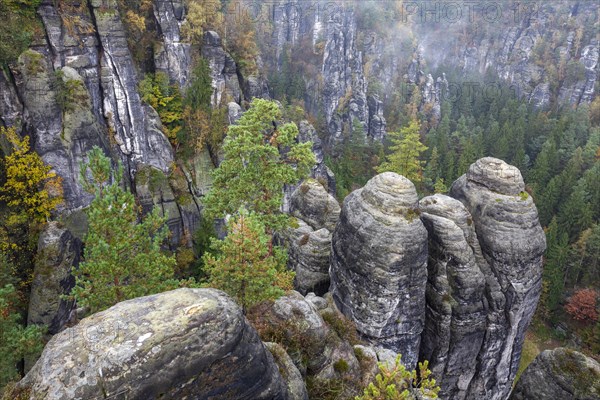 Sandstone rocks in the Bastei area