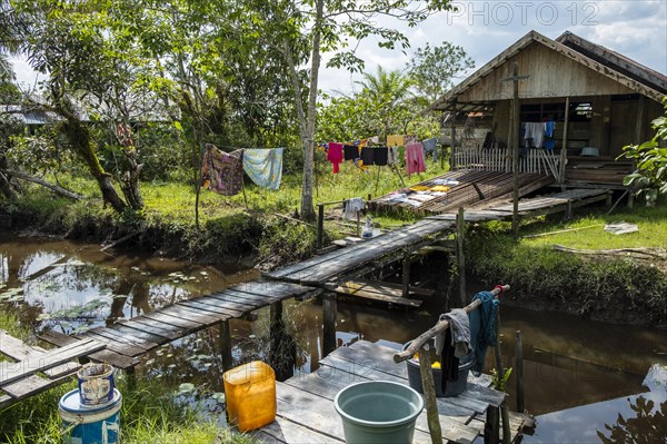 Wooden hut in a jungle village on the Sekonyer River