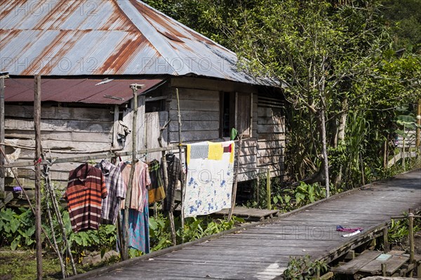 Jungle village with wooden hut on the Sekonyer River