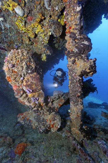 Diver looking at propeller and rudder from the wreck of the Virgen de Altagracia