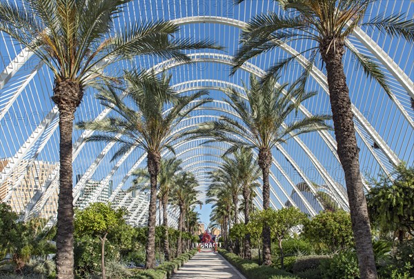 The Umbracle