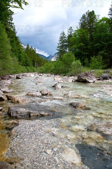 Poellat