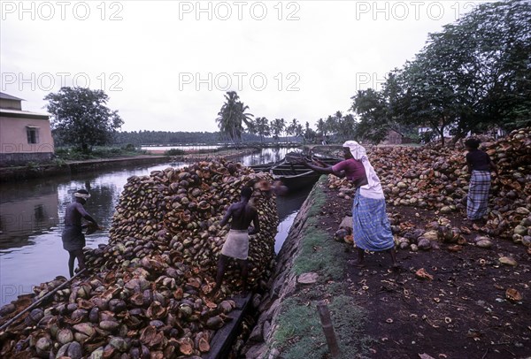 Coconut husk being loaded in the Boat