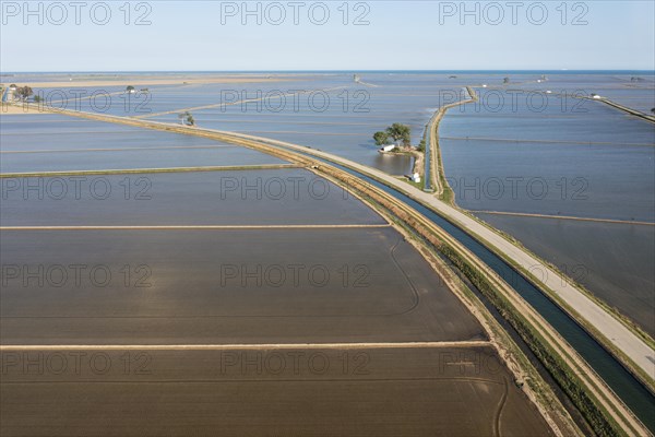 Flooded rice fields in May