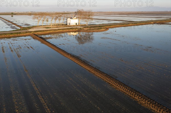 Small farm cottage amidst flooded rice fields in May