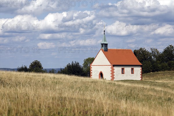 Dry grassland