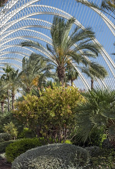 Plants at The Umbracle