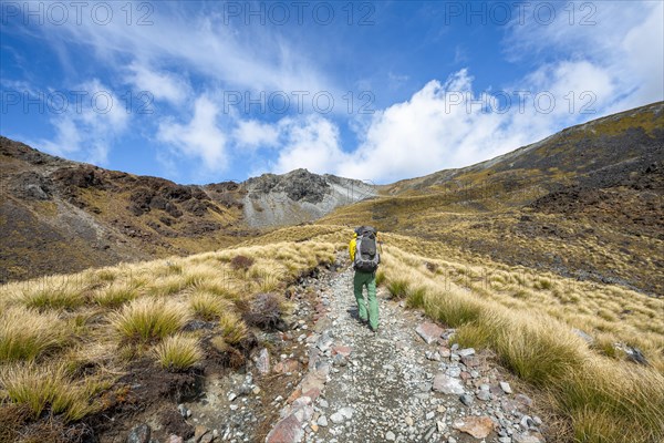 Hikers on trail