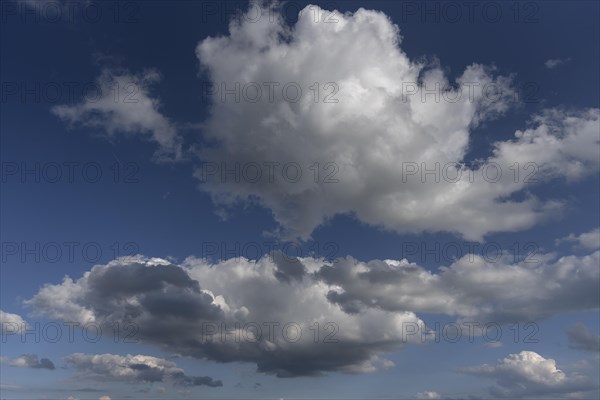 Cumulus cloud (Cumulus)
