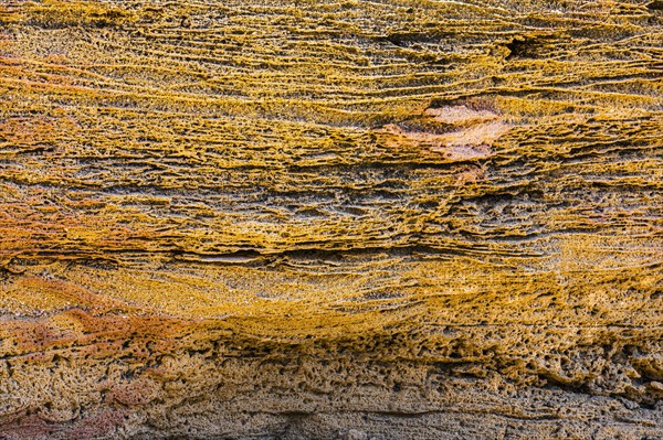 Porous sandstone in Valle della Luna at Capo Testa near Santa Teresa di Gallura