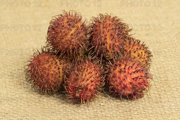 Rambutan (Nephelium lappaceum)