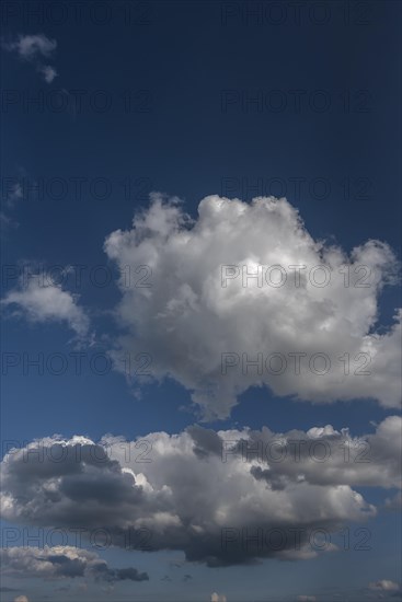 Cumulus cloud (Cumulus)